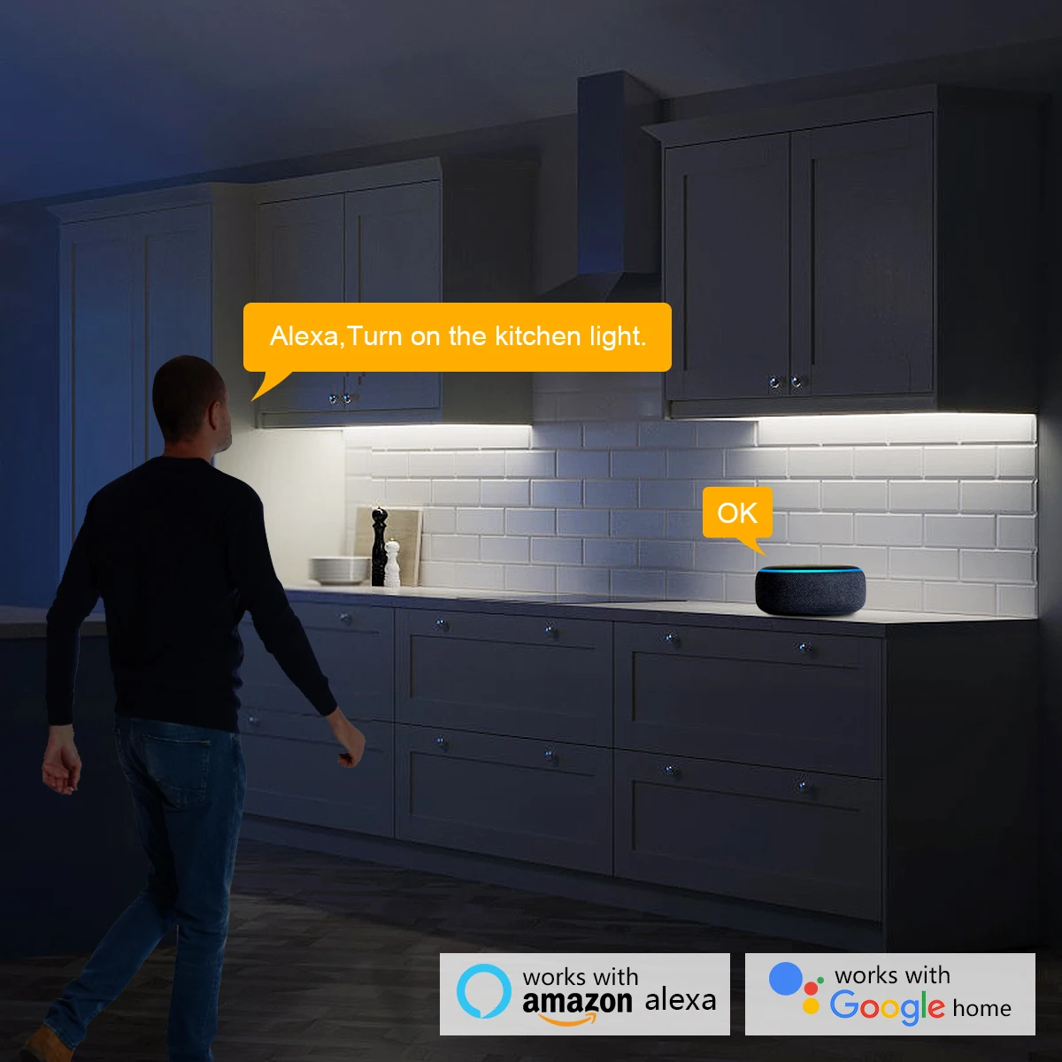 Smart Home Zigbee Tuya Voice C - đánh giá và giá Home Decor App