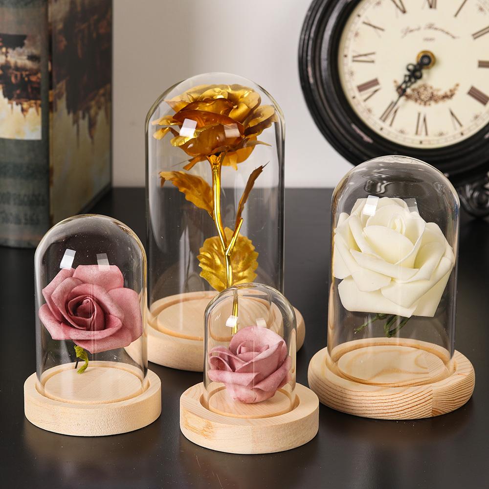 Home Decor Plants Jar Terrariu - đánh giá và giá Home Decor Flowers