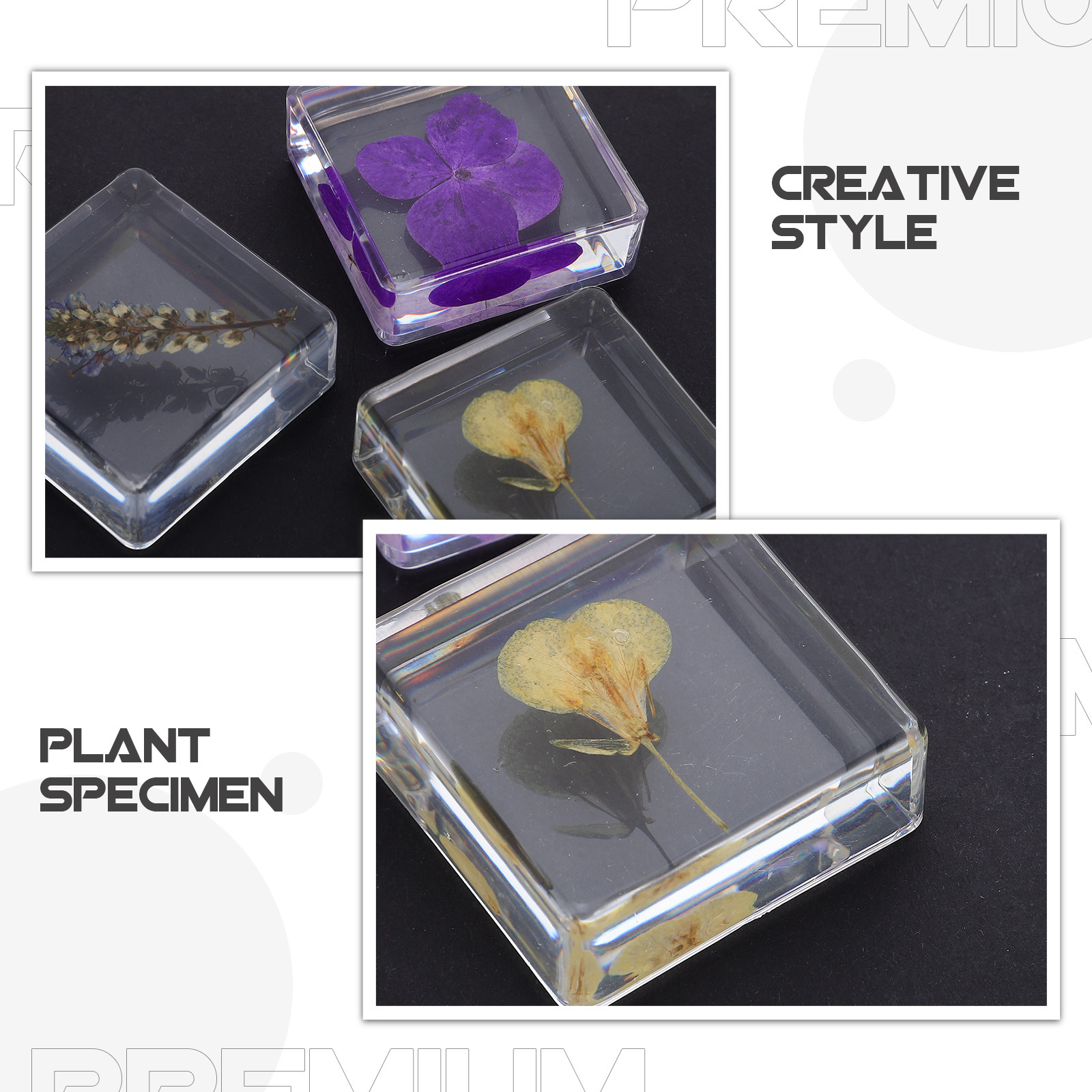 3Pcs Flower Resin Specimen Bot - đánh giá và giá Home Decor Flowers