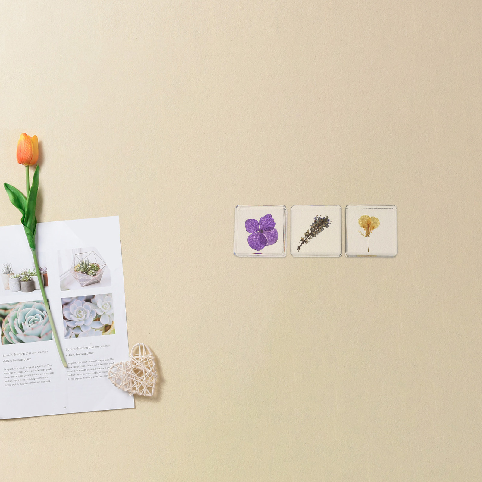 3Pcs Flower Resin Specimen Bot - đánh giá và giá Home Decor Flowers
