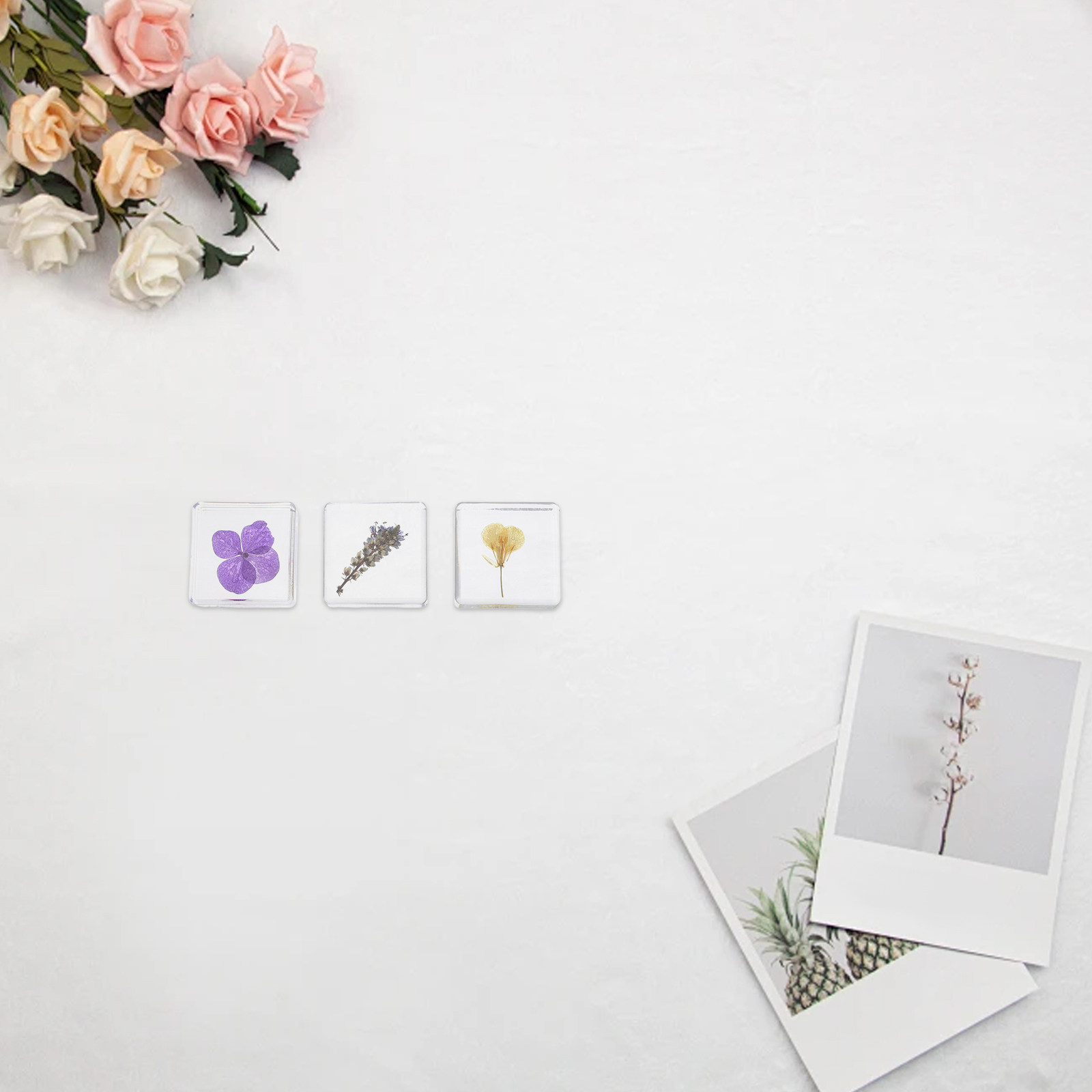 3Pcs Flower Resin Specimen Bot - đánh giá và giá Home Decor Flowers