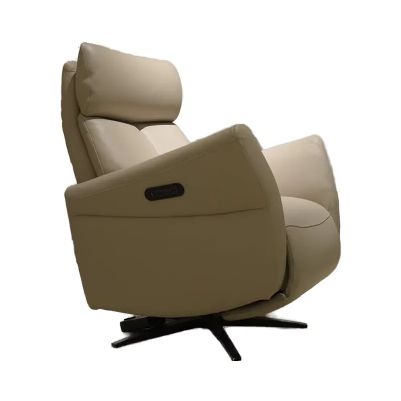 Electric Recliner Chair Genuin - đánh giá và giá Home Decor Sofa