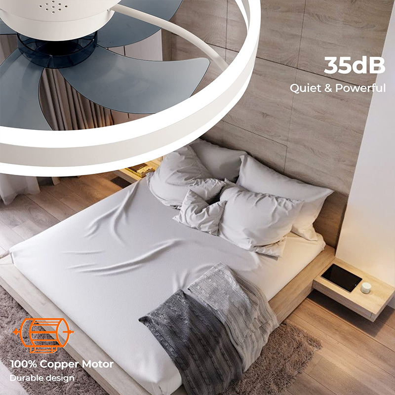 LED Ceiling Light Fan With APP - đánh giá và giá Home Decor App